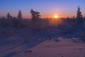 Winter landscape with forest, cloudy sky and sun. America, country. Royalty Free Stock Photo