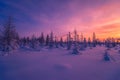 Winter landscape with forest, cloudy sky and sun Royalty Free Stock Photo