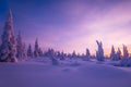 Winter landscape with forest, cloudy sky and sun Royalty Free Stock Photo