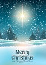 Christmas theme, winter forest with big star Royalty Free Stock Photo