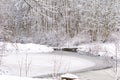 Winter landscape forest and frozen river. tree branch under snow in winter snowing day Royalty Free Stock Photo