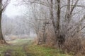 Winter landscape. Forest path between trees on which is perched for hunters. There are icy trees around Royalty Free Stock Photo