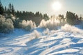 Winter landscape with forest, snow, blue sky and sun Royalty Free Stock Photo