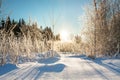 Winter landscape with forest, snow, blue sky and sun Royalty Free Stock Photo
