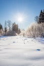 Winter landscape with forest, snow, blue sky and sun Royalty Free Stock Photo