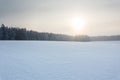 Winter landscape with the forest and the sun Royalty Free Stock Photo