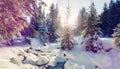 Winter landscape in the forest. Sunlight sparkling in the snow. Wonderful Alpine Highlands in Sunny Day. Retro style. Instagram Royalty Free Stock Photo