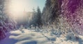 Winter landscape in the forest. Sunlight sparkling in the snow. Wonderful Alpine Highlands in Sunny Day. Retro style. Instagram