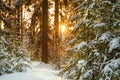 Winter landscape with the forest and sunset Royalty Free Stock Photo