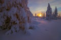 Winter landscape with forest and sunset. Christmas winter background with snow and trees Royalty Free Stock Photo