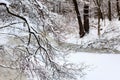 Winter landscape. Winter forest trees branches and frozen river covered snow. Royalty Free Stock Photo