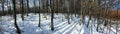 Winter landscape covered with snow