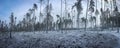 Winter landscape, winter forest trees covered with frost and snow