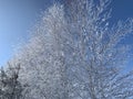 Frozen winter landscape in Russia
