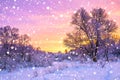 Winter landscape with forest, trees and sunrise Royalty Free Stock Photo