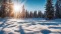 winter landscape in the forest winter space of snow with blue sky and sun rays a cold and bright mood Royalty Free Stock Photo