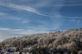 Winter landscape with forested hill