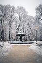 Winter landscape, fountain in the park.Kyiv, Mariinsky Park Royalty Free Stock Photo