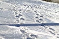 Winter landscape with fresh footprints in the snow Royalty Free Stock Photo
