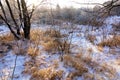 Winter landscape. Fresh snow lies on the dry grass on a Sunny day. The sun is shining from behind the trees Royalty Free Stock Photo