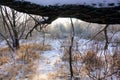 Winter landscape. Fresh snow lies on the dry grass on a Sunny day. The sun is shining from behind the trees Royalty Free Stock Photo