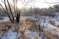 Winter landscape. Fresh snow lies on the dry grass on a Sunny day. The sun is shining from behind the trees Royalty Free Stock Photo