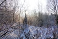 Winter landscape. Fresh snow lies on the dry grass on a Sunny day. The sun is shining from behind the trees Royalty Free Stock Photo