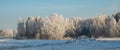 Winter landscape of frost forest, snow in nature. Beautiful seasonal panoramic view. Europe weather nature. Royalty Free Stock Photo