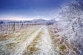 Winter landscape with frost and snow covered trees and nature of Carpathian mountains near Bratislava,Slovakia