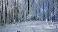 Winter landscape with frost and snow covered trees and nature of Carpathian mountains near Bratislava,Slovakia Royalty Free Stock Photo