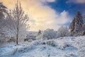 Winter landscape with frost and snow covered trees in nature of Carpathian mountains near Bratislava,Slovakia Royalty Free Stock Photo