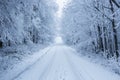 Winter landscape with frost and snow covered trees and nature of Carpathian mountains near Bratislava,Slovakia Royalty Free Stock Photo