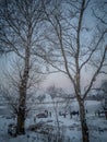 Winter landscape, Frost on tree Royalty Free Stock Photo