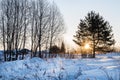 Winter landscape on frosty sunny morning. Sun\'s rays break through branches of trees. Everything is covered with snow. Royalty Free Stock Photo