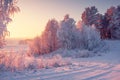 Winter landscape with frosty trees in bright morning