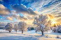 Winter Landscape with Frosty Trees and Cloudy Sky Royalty Free Stock Photo