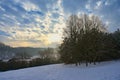 Winter landscape - frosty trees in the forest. Nature covered with snow. Beautiful seasonal natural background Royalty Free Stock Photo