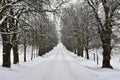 Winter landscape - frosty trees in the forest. Nature covered with snow. Beautiful seasonal natural background. Royalty Free Stock Photo