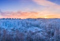 Winter landscape - frosty trees in the forest in the sunny morning under blue sky. Royalty Free Stock Photo