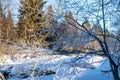 Winter landscape of frosty weather on a sunny day in a forest with frost on tree branches, a flowing river and white pure snow all Royalty Free Stock Photo