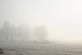 Winter landscape with frozen bare trees on a field covered with frozen dry grass in a thick fog during sunrise Royalty Free Stock Photo