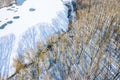 Winter landscape with frozen bare trees and lake covered with ice. aerial view Royalty Free Stock Photo