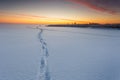 Winter landscape at frozen bay of Puck.