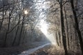 Winter landscape in a frozen forest Royalty Free Stock Photo