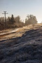 Frosty morning by the road