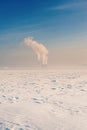 Winter landscape with frozen ice, city and pipes with thick steam