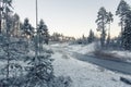 Winter landscape with frozen lake and pine trees. Royalty Free Stock Photo