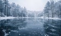 A winter landscape with a frozen lake and snow-covered forest Royalty Free Stock Photo