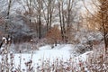 Winter landscape. Frozen lake and snowy forest. Royalty Free Stock Photo