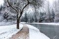 Winter landscape- frozen Ludwig Canal